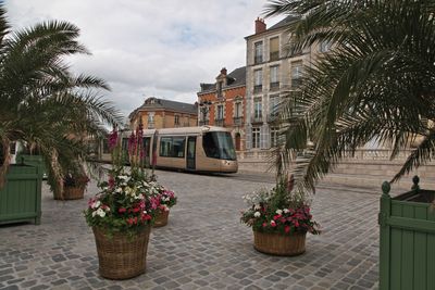 Orleans38.jpg