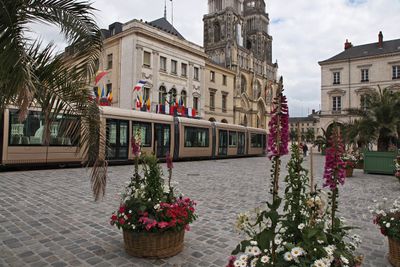 Orleans39.jpg