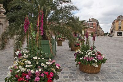 Orleans40.jpg