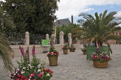 Orleans41.jpg