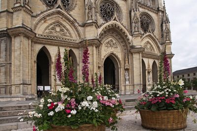 Cathedrale8.jpg