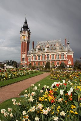 City Hall27.jpg