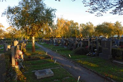 Autumn11.jpg