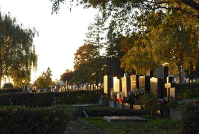 Autumn13.jpg