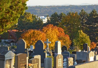 Autumn14.jpg