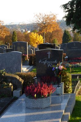 Autumn21.jpg