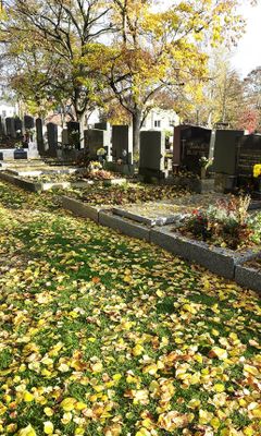 Autumn27.jpg