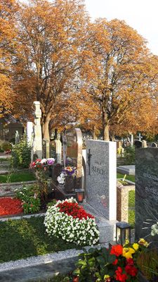 Autumn29.jpg