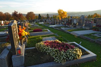 Autumn3.jpg