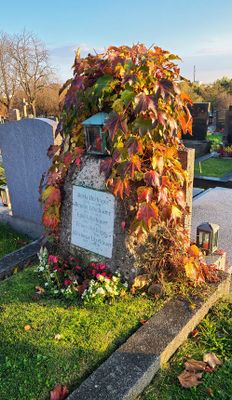 Autumn31.jpg