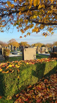 Autumn32.jpg