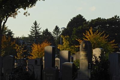Autumn36.jpg