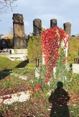 Autumn38.jpg