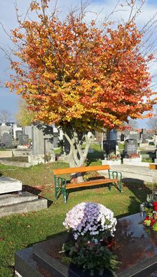 Autumn39.jpg