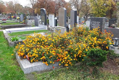 Autumn6.jpg