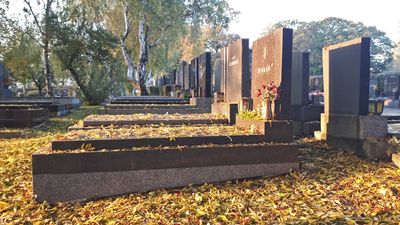 Autumn8.jpg
