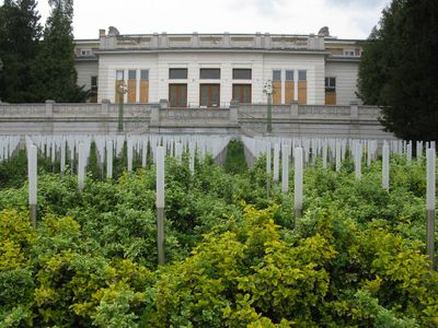Steinhof-Spring16