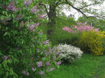 Steinhof-Spring14