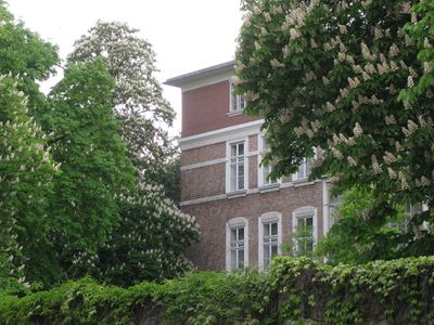 Steinhof-Spring12