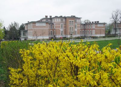 Steinhof-Spring9