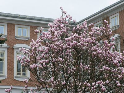 Steinhof-Spring6