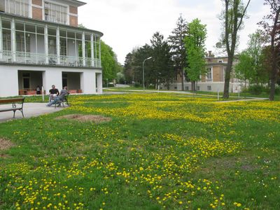 Steinhof-Spring5