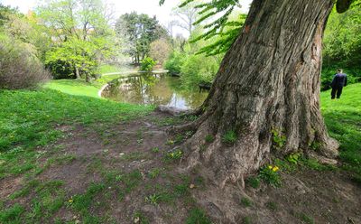 Tuerkenschanzpark23.jpg