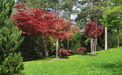 Tuerkenschanzpark26.jpg