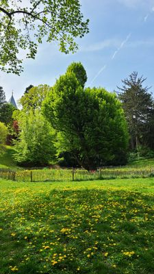 Tuerkenschanzpark32.jpg