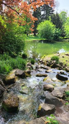 Tuerkenschanzpark40.jpg
