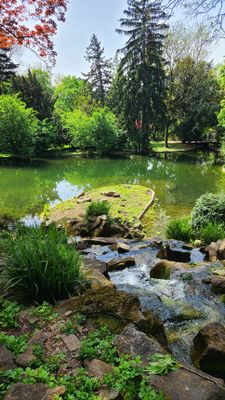 Tuerkenschanzpark44.jpg