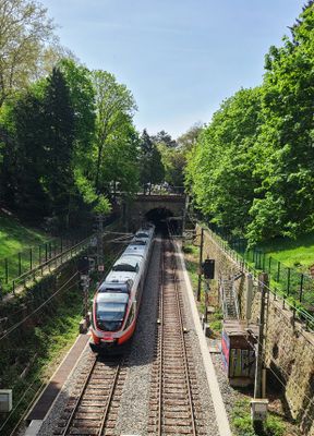 Tuerkenschanzpark45.jpg
