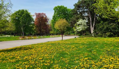 Tuerkenschanzpark6.jpg