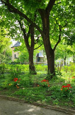 Tuerkenschanzpark3.jpg