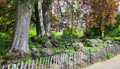 Tuerkenschanzpark2.jpg