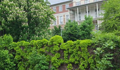 Steinhof Hospital2
