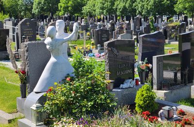 Cemetery Meidling