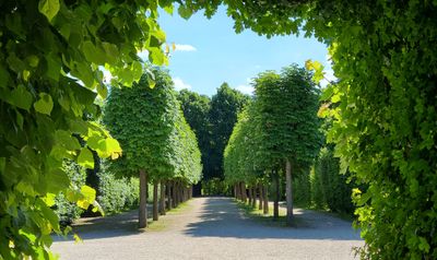 Schlo Schnbrunn1