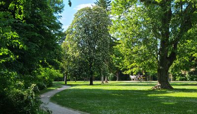 Schoenbrunn13.jpg