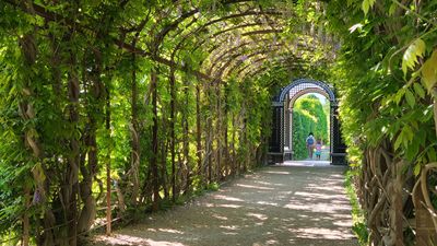 Schoenbrunn15.jpg