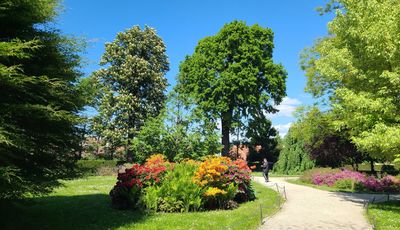 Schoenbrunn16.jpg