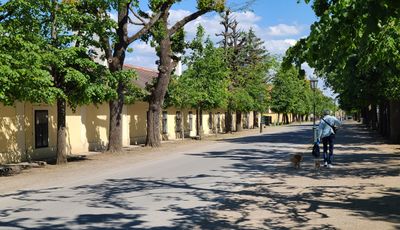 Schoenbrunn19.jpg