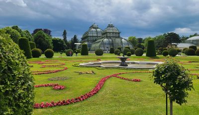 Palmenhaus