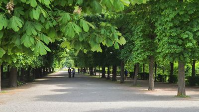 Schoenbrunn31.jpg