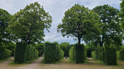 Schoenbrunn34.jpg