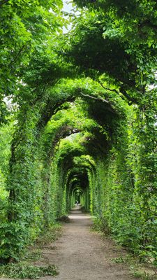 Schoenbrunn36.jpg