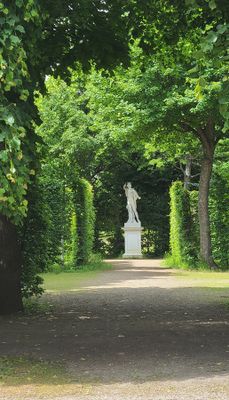 Apollo,Schönbrunn