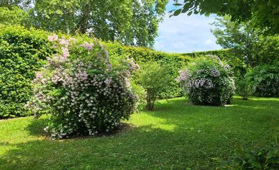 Park-Anlagen