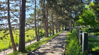 Cemetery Sievering24.jpg