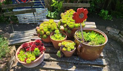 Arts & Crafts - Garden Culture in Lower Austria